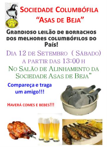 Leilão Asas Beja.jpg