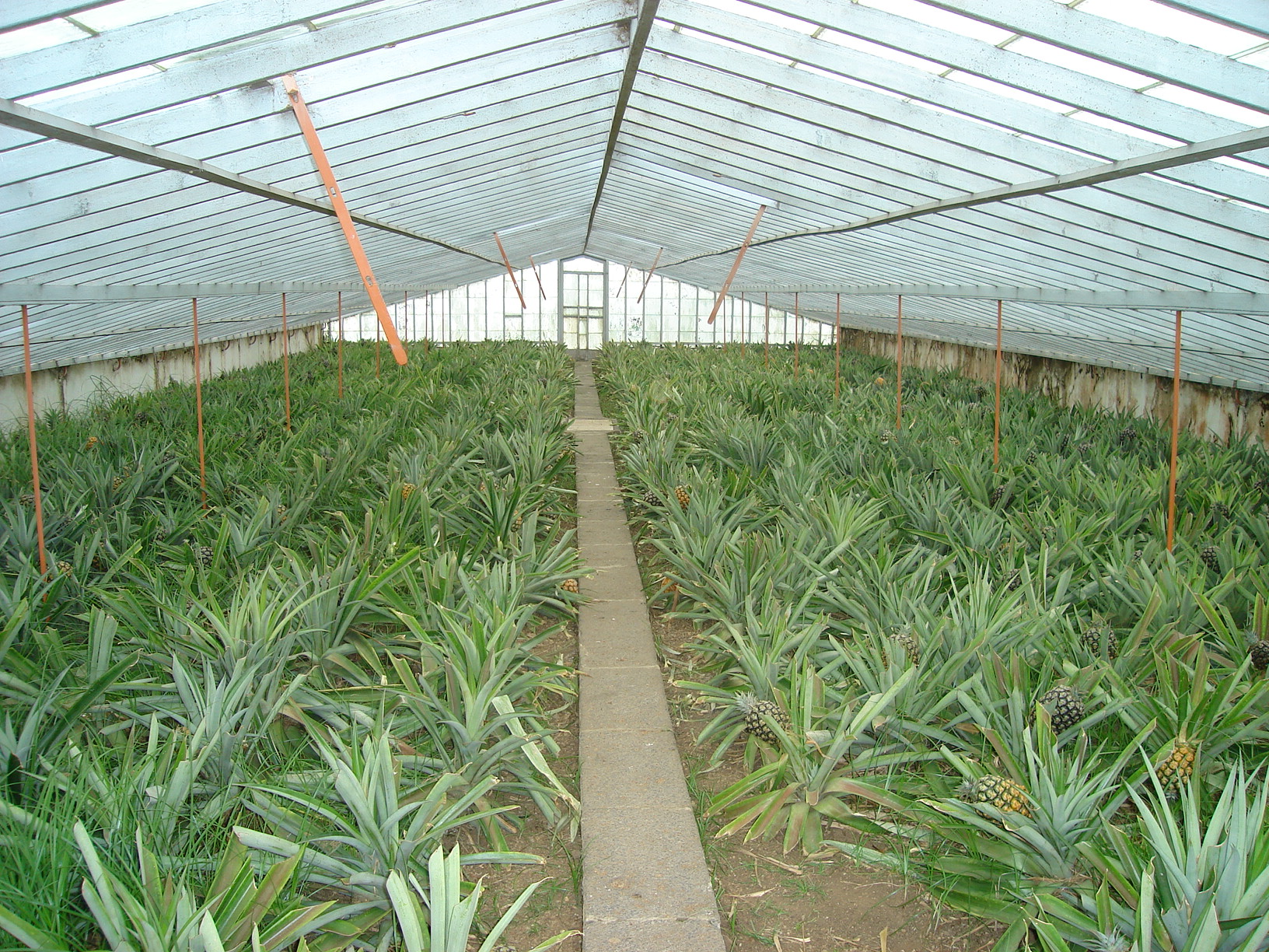 DSC02655.JPG DSC02655.JPG