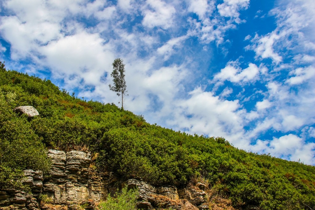 cascatas de mourao c 9