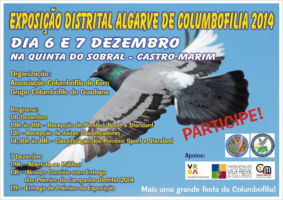 Exposição Distrital Faro.jpg