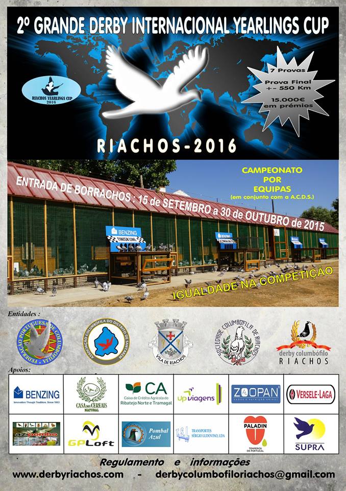 Yearlings Riachos.jpg