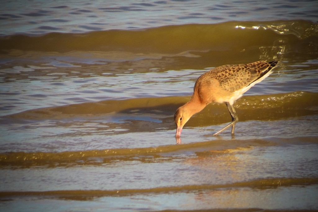 parque tejo-2 (1024x682)