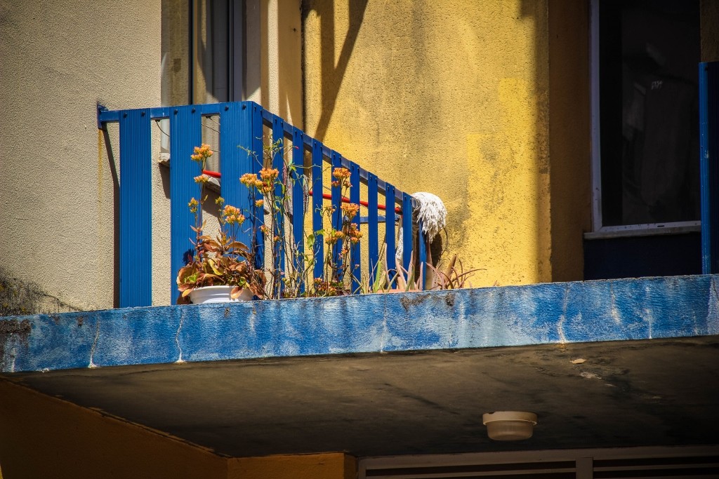 quinta do mocho o bairro i o mundo a 18