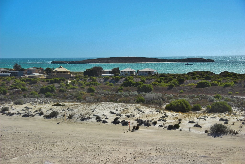 sandbourd lancelin 2