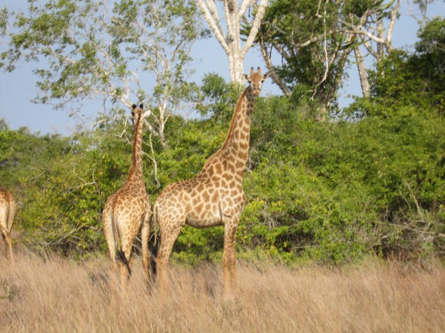 © www.facebook.com/Africanatours