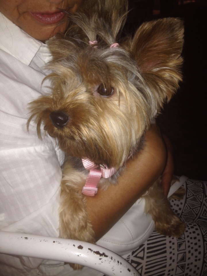 10514901_10201561567674514_1845849299_n.jpg 10514901_10201561567674514_1845849299_n.jpg