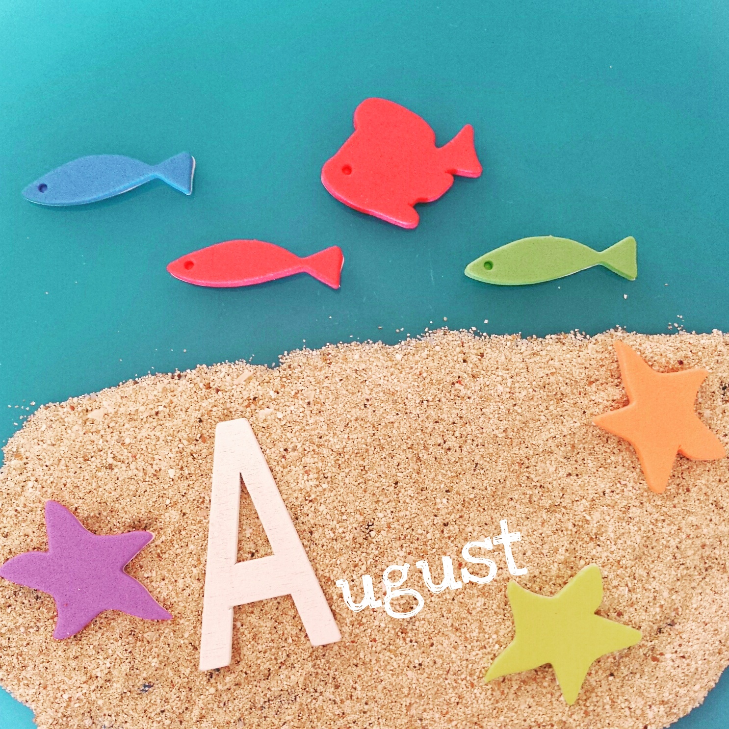 IMG_20150801_120218.jpg IMG_20150801_120218.jpg