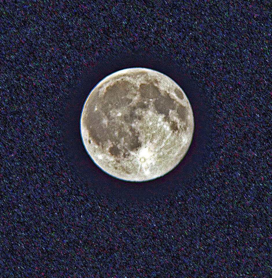 11289624_10200565314011868_1918960692388705035_o.j