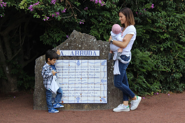 açores + arquipélago dos açores + são miguel + estufa de ananases + ananás + ananás dos açores + viajar com filhos pequenos + panazorica