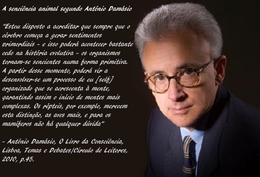 Antonio DAMASIO (1944 - .)