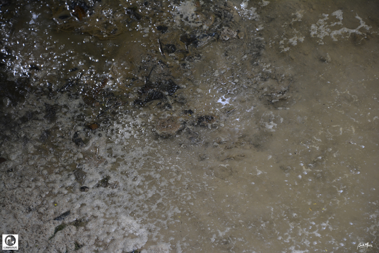 _D702531.JPG