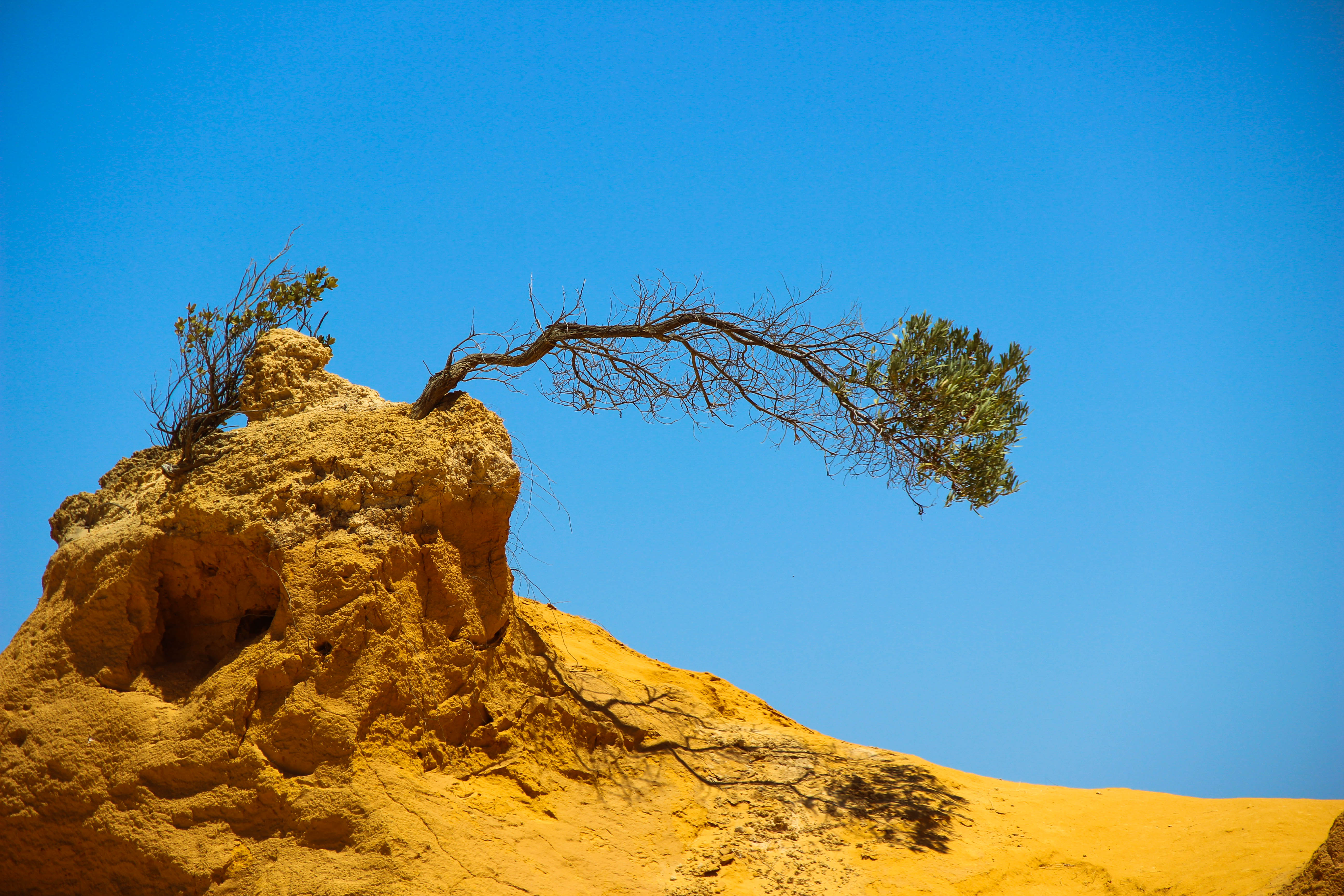 pinnacles desert a 14