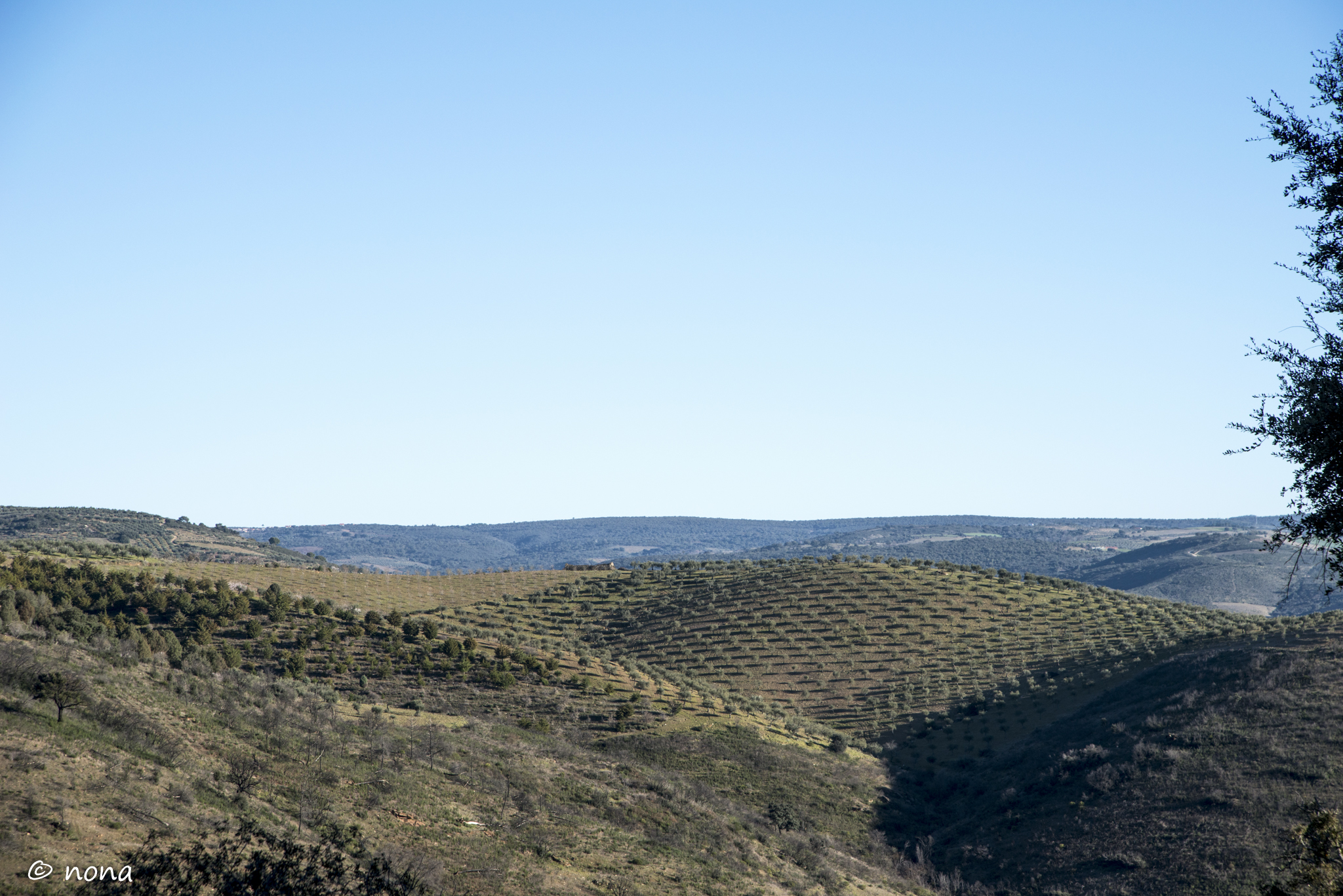 2015 - Rota das Amendoeiras (13).jpg