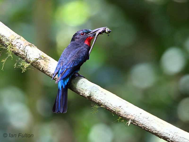 © www.facebook.com/Africanatours