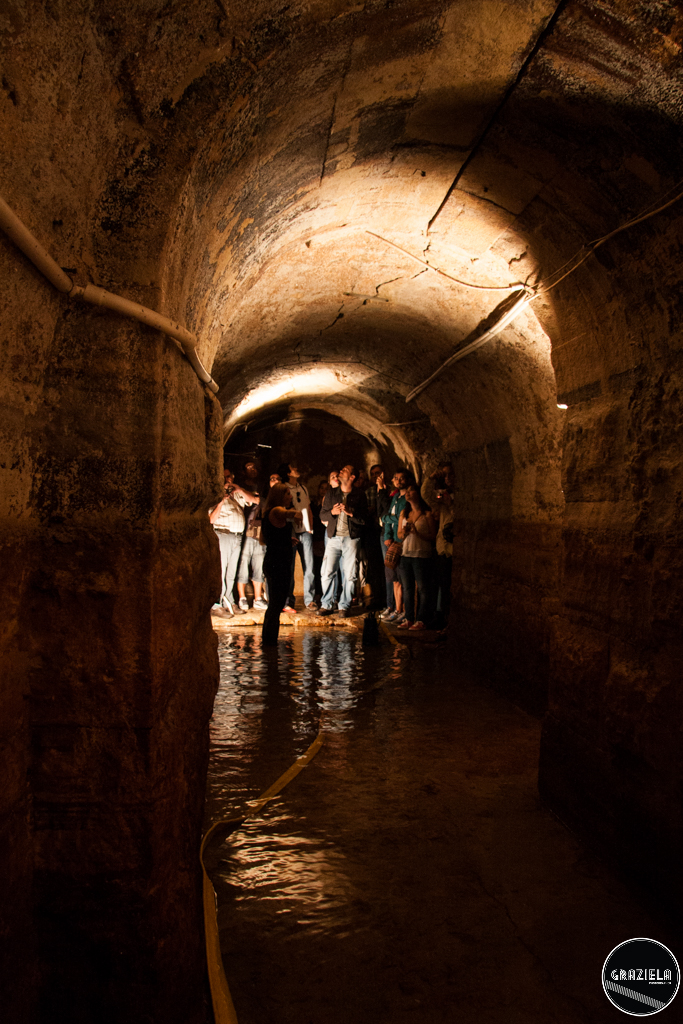 Galerias_pequenas-8874.jpg Galerias_pequenas-8874.jpg