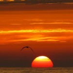 lagoa_albufeira
