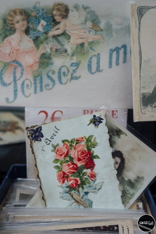 _SAM4836-10.JPG _SAM4836-10.JPG