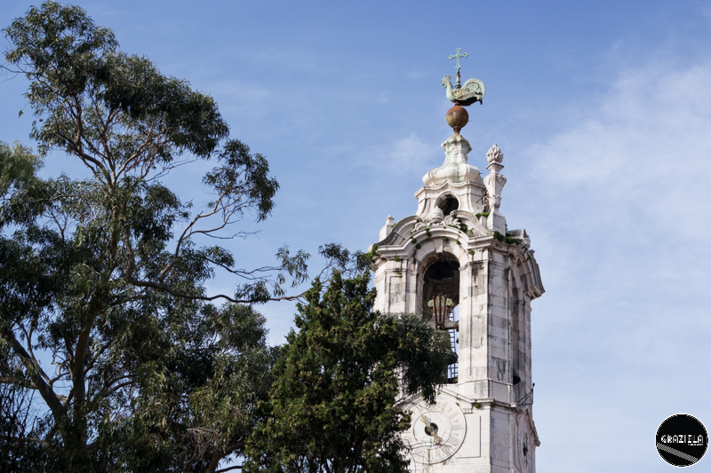 Gelado_Graziela_Costa-1687.jpg Gelado_Graziela_Costa-1687.jpg