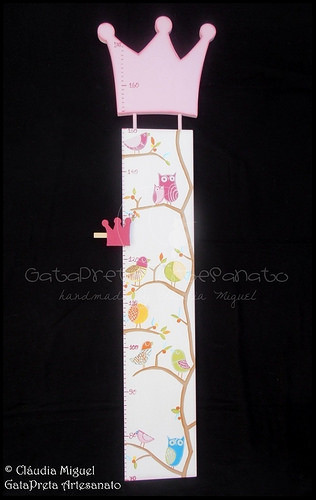 Placa de porta e régua crescimento 