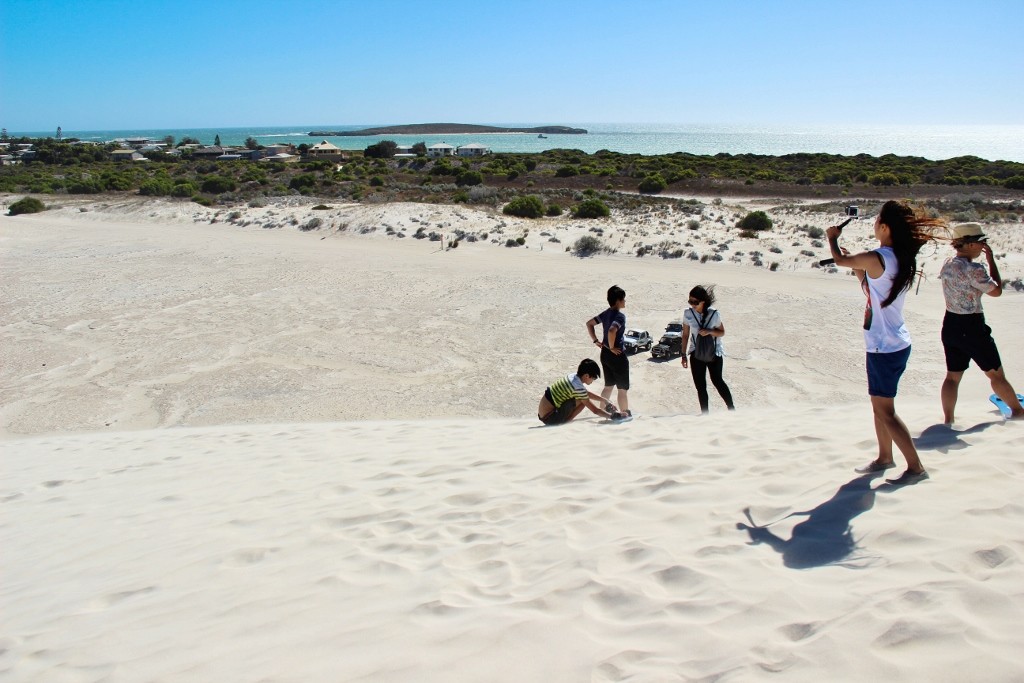 sandbourd lancelin 3