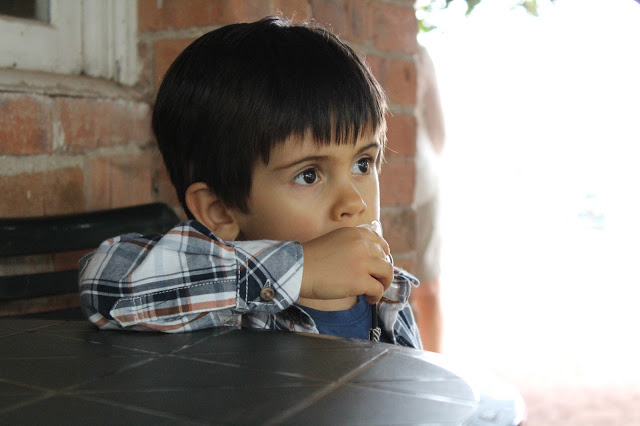 estufa de ananases + Açores + ilha de são Miguel + arquipélago dos açores + c&a + camisa aos quadrados 