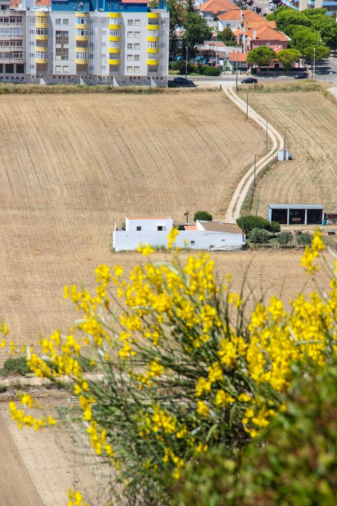 miradouro capuchos 2 (683x1024)