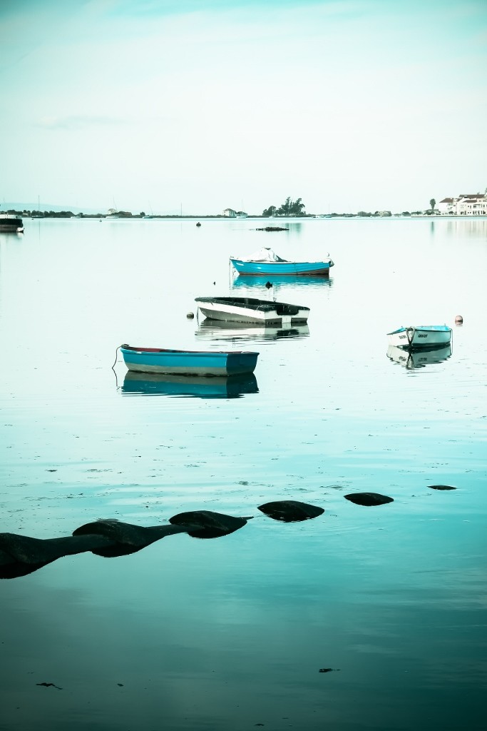 seixal barcos 5