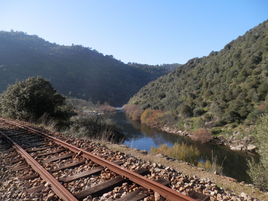 PC060562.JPG PC060562.JPG