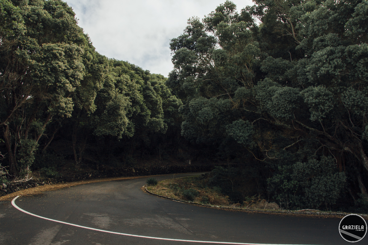 Terceira_2015_Pequenas-17.JPG Terceira_2015_Pequenas-17.JPG