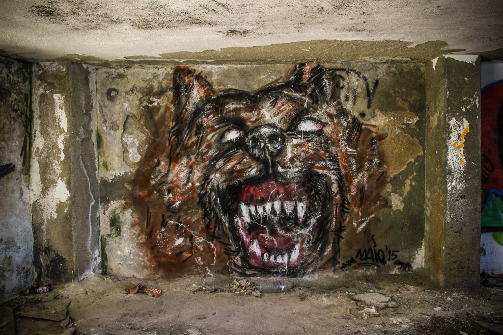 quinta da arealva-1-2 (1024x683)