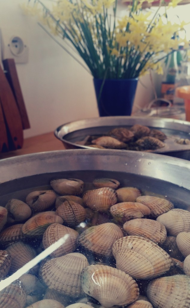 20150404_151814_20150404153854119