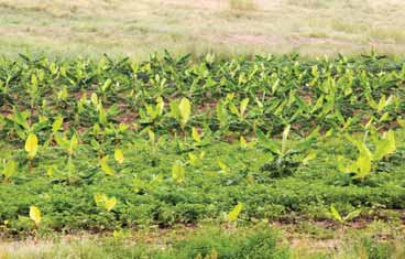 Fotos: Carlos Lousada