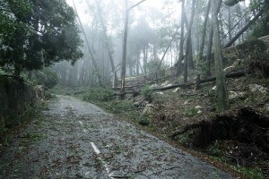 PSML_emigus_tempest19Jan2013_585_2