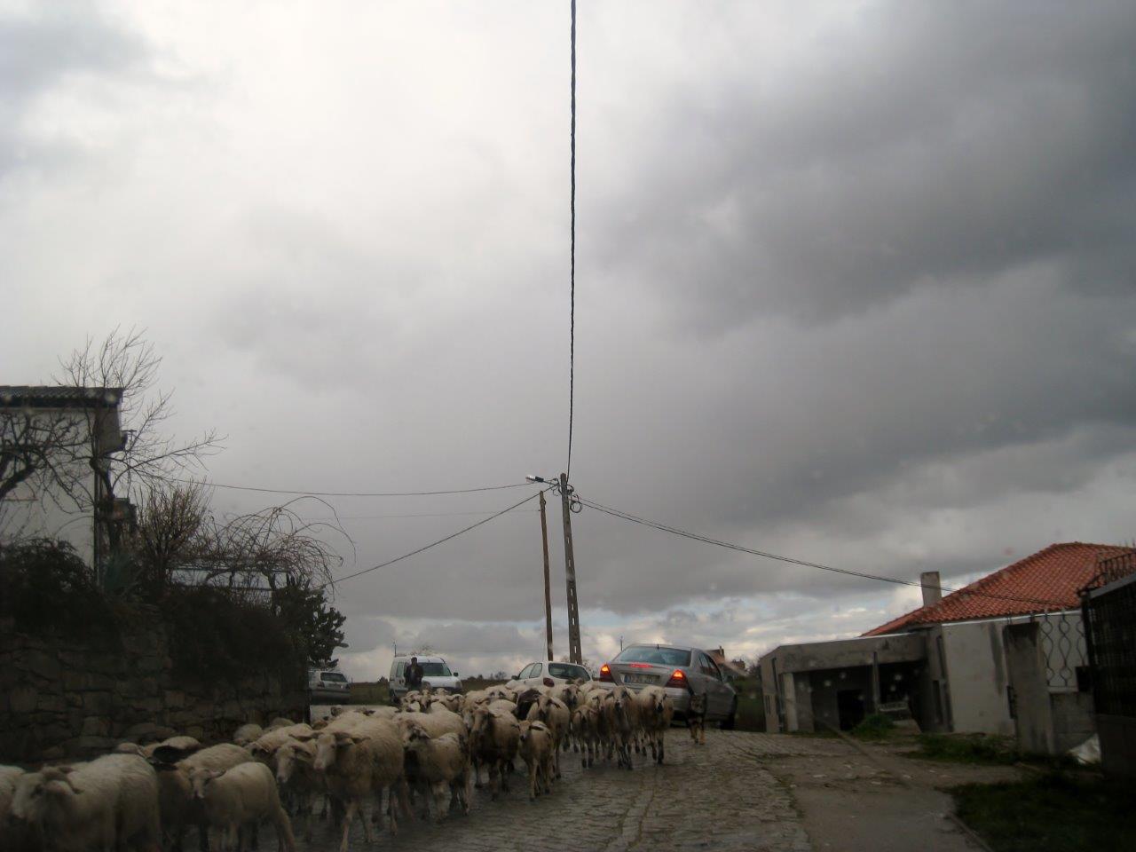 S. Vicente da Raia, concelho de Chaves, Março 201