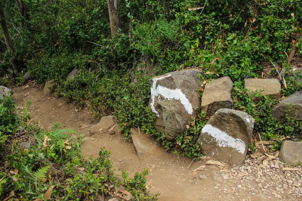 cascatas de mourao e 4