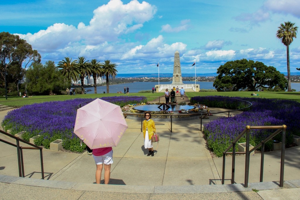 kings park perth 6 (1024x683)