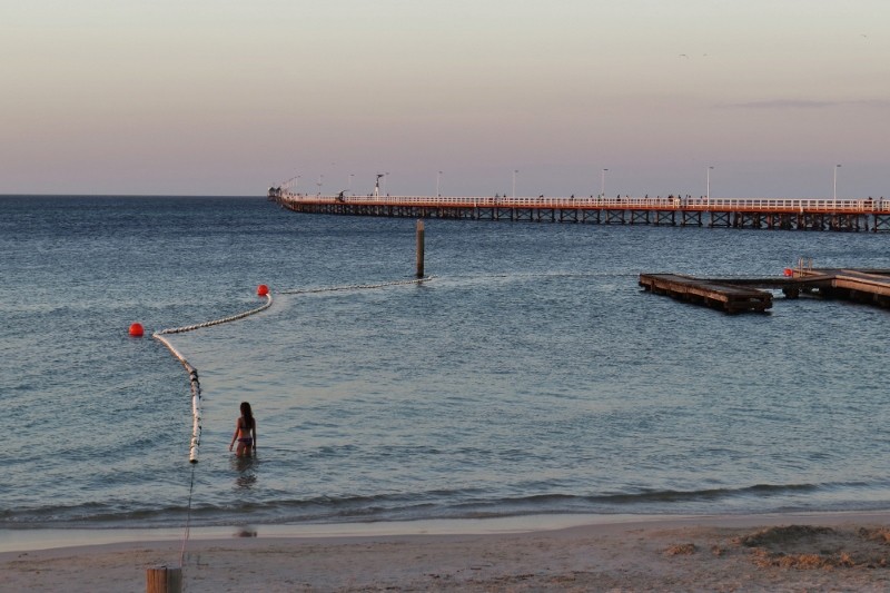 jetty 1 (800x533)