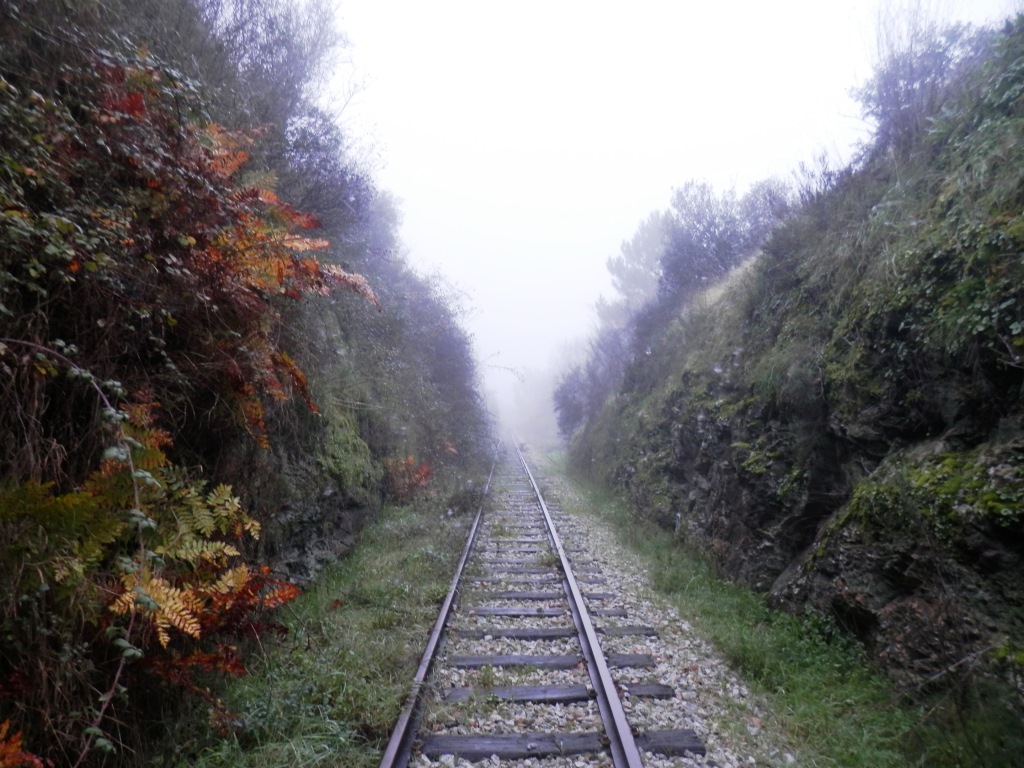 PC060316.JPG PC060316.JPG