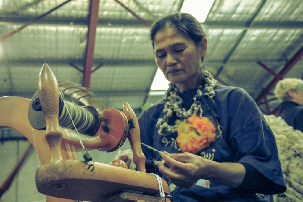 sheep perth royal show 6 (1024x683)