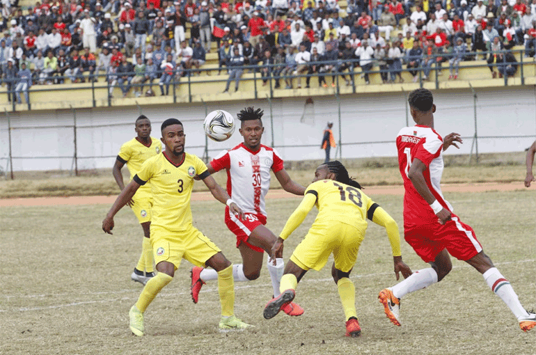 madagascar vs mambas.gif