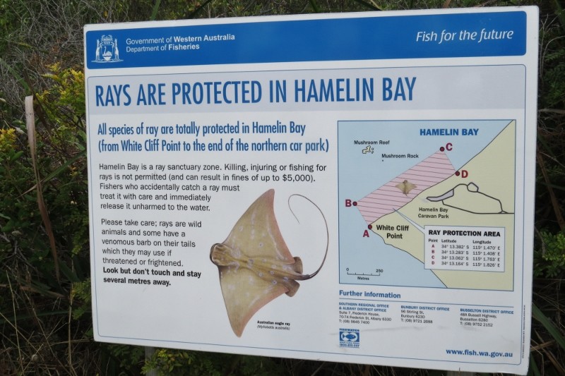 hamelin bay a 13