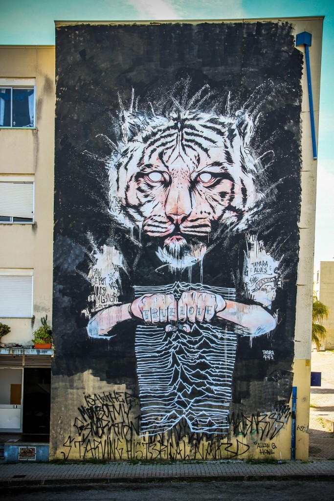 quinta do mocho o bairro i o mundo a 13