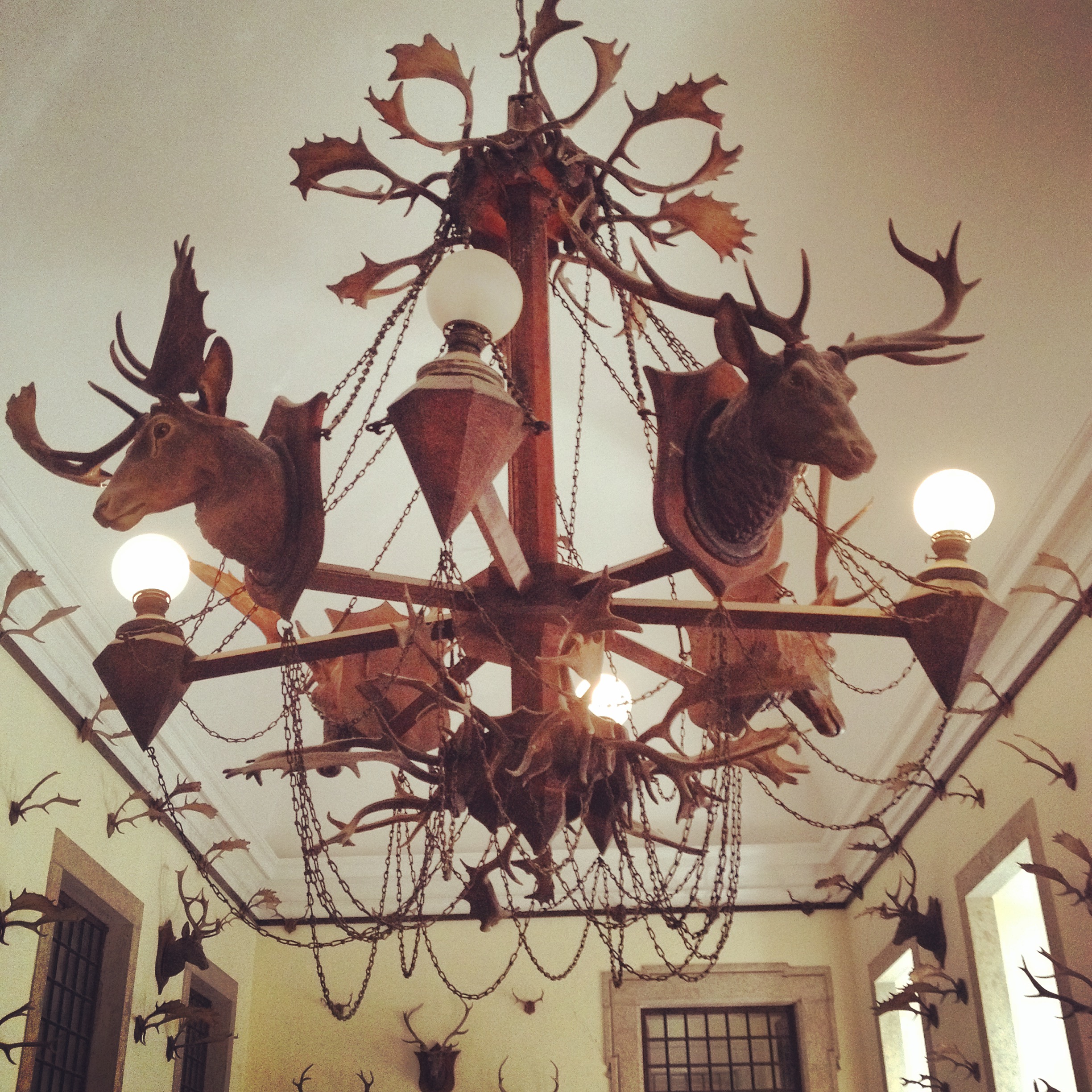 IMG_3376.JPG IMG_3376.JPG