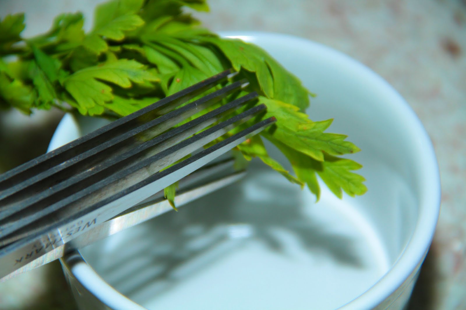 tesoura ervas.jpg tesoura ervas.jpg