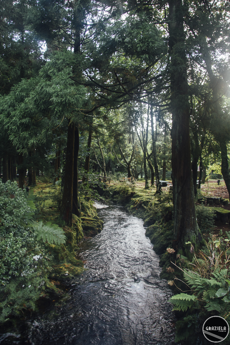 Terceira_2015_Pequenas-99.JPG Terceira_2015_Pequenas-99.JPG