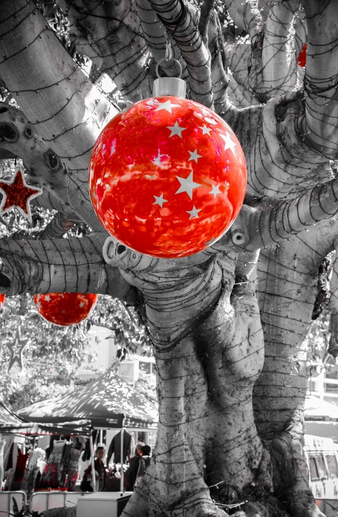 christmas tree fremantle-10 (669x1024)