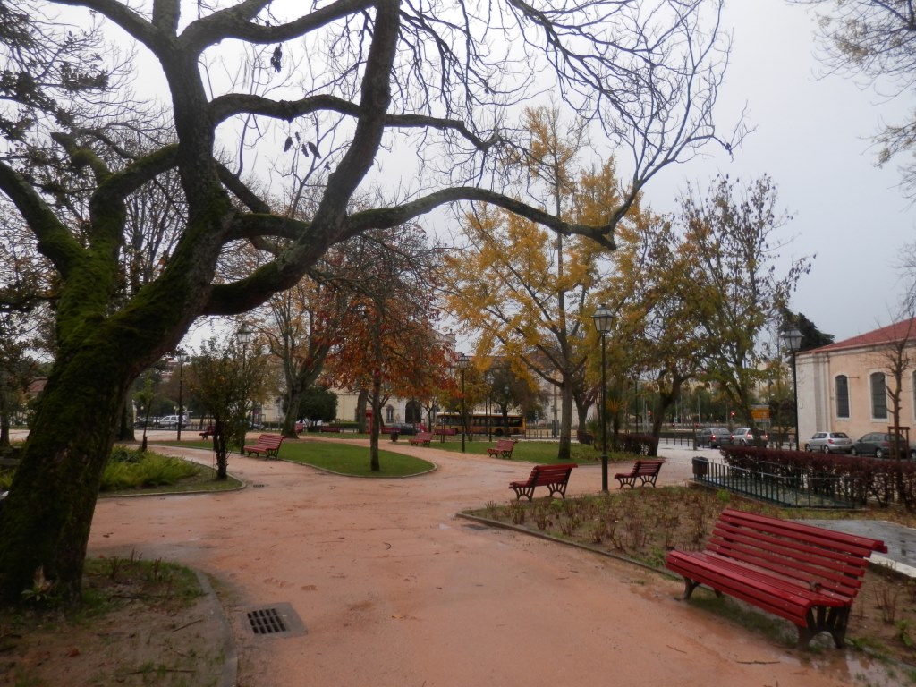 PB230397.JPG PB230397.JPG
