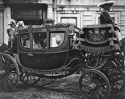 1526613_10152895524100761_3901114463423672666_n.jp