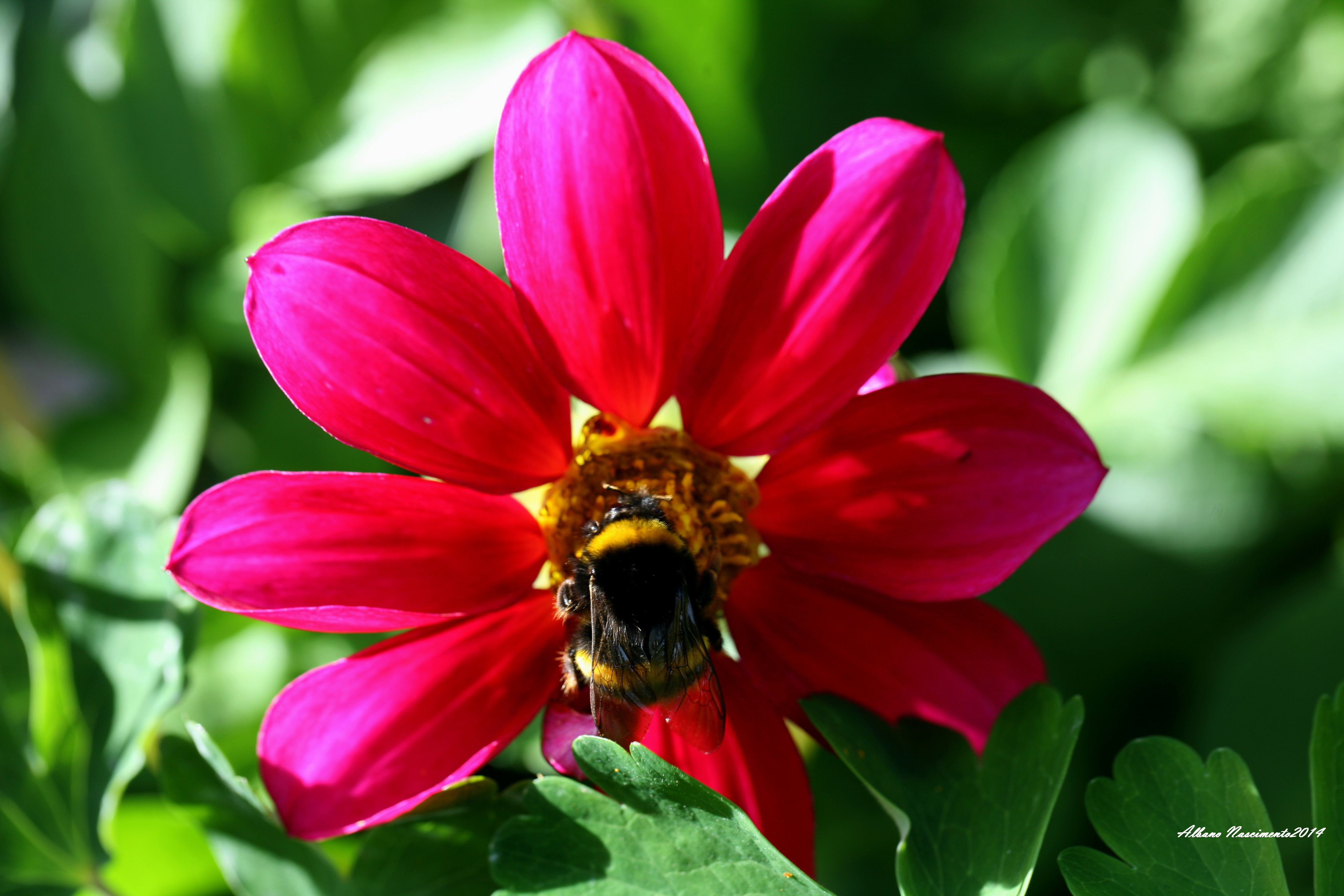 IMG_8613.JPG IMG_8613.JPG