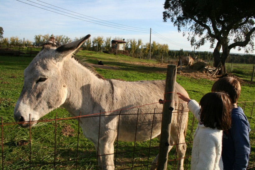 HerdadeFreixoMeio06 by HContadas